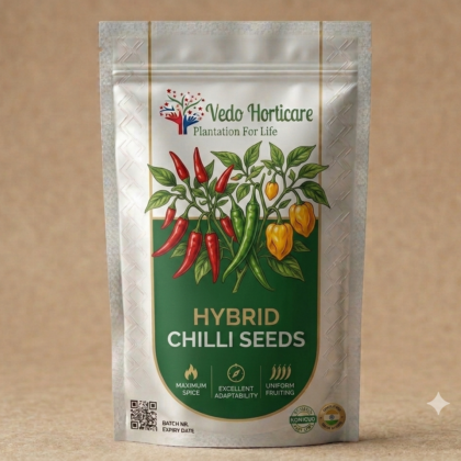Chilli Seeds product image