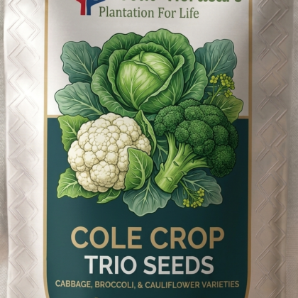 Cole Crop Combo Seeds product image