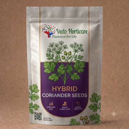 Coriander Seeds product image