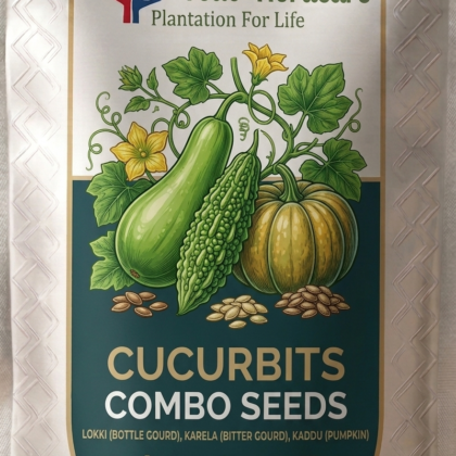 Cucurbits Combo Seeds product image