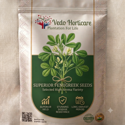 Methi Seeds product image