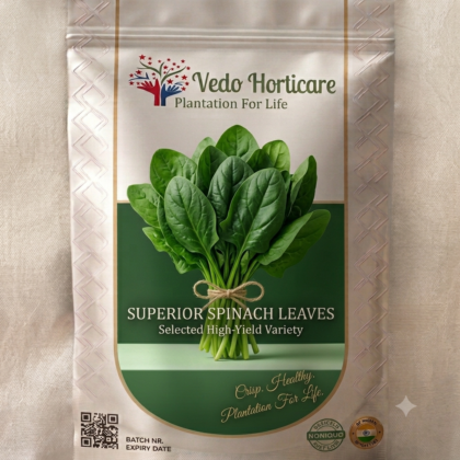 Palak Seeds product image