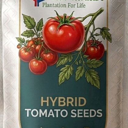 Tomato Seeds product image