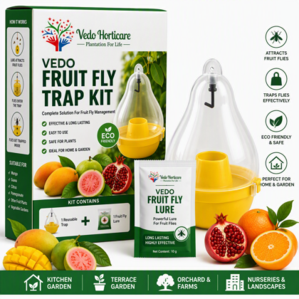 VEDO Fruit Fly Trap Kit product image