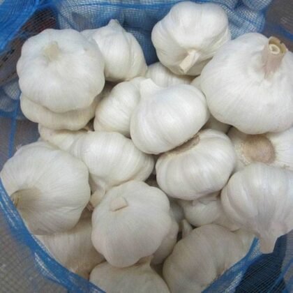 Ooty Garlic Seeds variety image