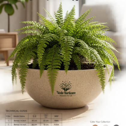 Bonsai pot
